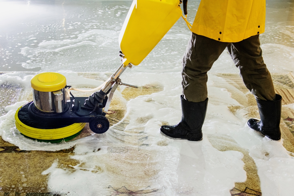 Carpet Cleaning in Anaheim near me